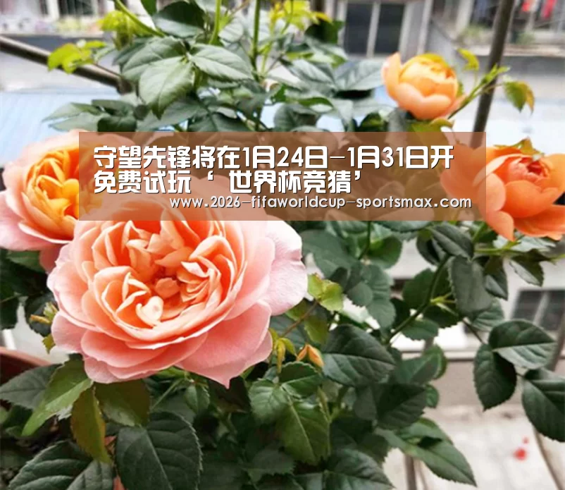  世界杯体育APP